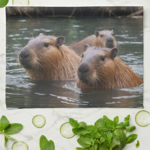 Capybaras' Swimming In The River, Kitchen Towel