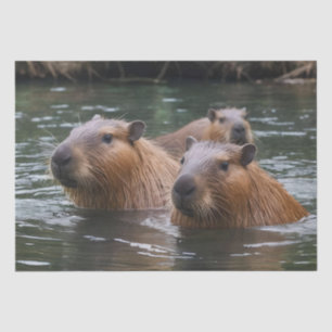 Capybaras' Swimming In The River, Tissue Paper