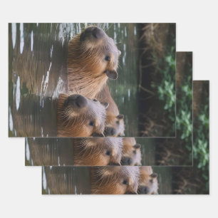 Capybaras' Swimming In The River, Wrapping Paper Sheet