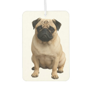 car air freshener