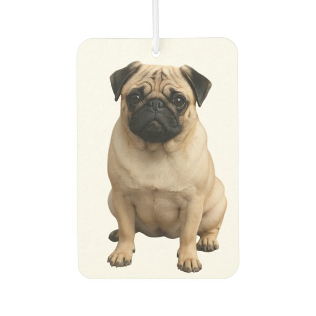 car air freshener  (Front)