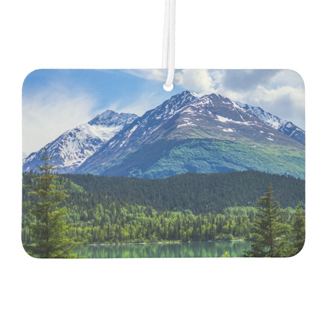 * CAR AIR FRESHENER (Back)