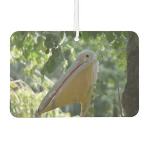Car Air Fresheners with beautiful curious pelican