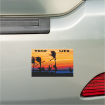 Car Magnet Florida Sunrise