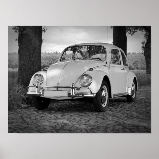 Car Poster (Front)