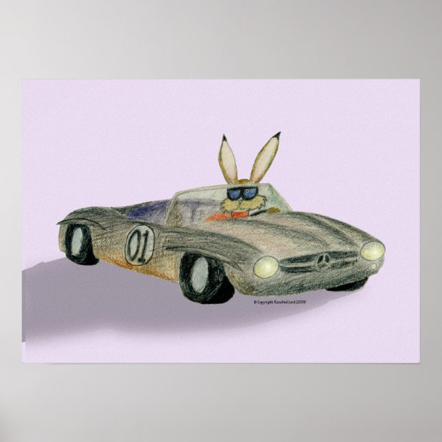 Car Racing Rabbit Poster (Front)