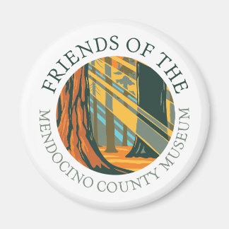 Car/refrigerator magnet