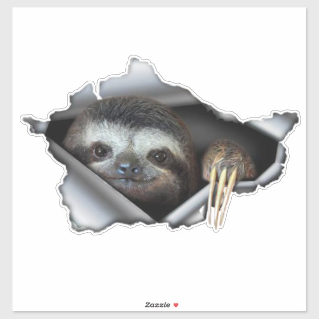 Car sticker Koala car decal Animals sticker Koala  (Sheet)