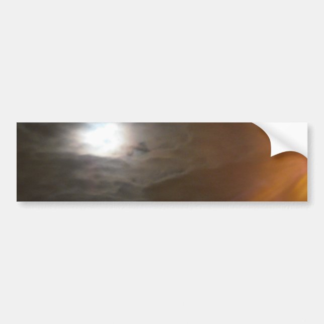 CAR STICKER LABEL ART&DESIGN STYLE  (Front)