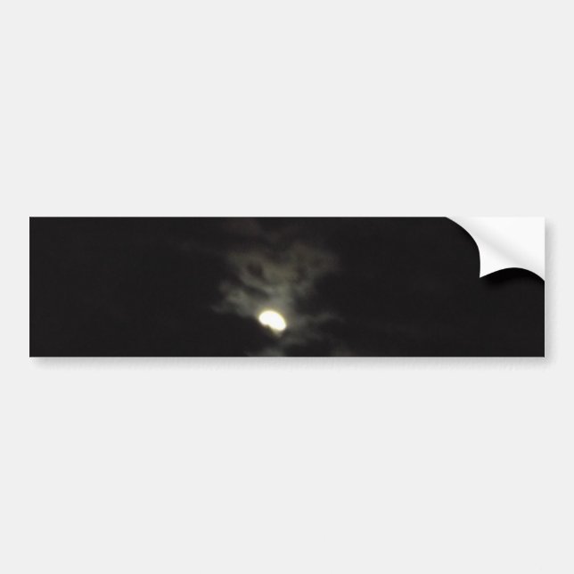CAR STICKER LABEL ART&DESIGN STYLE  (Front)