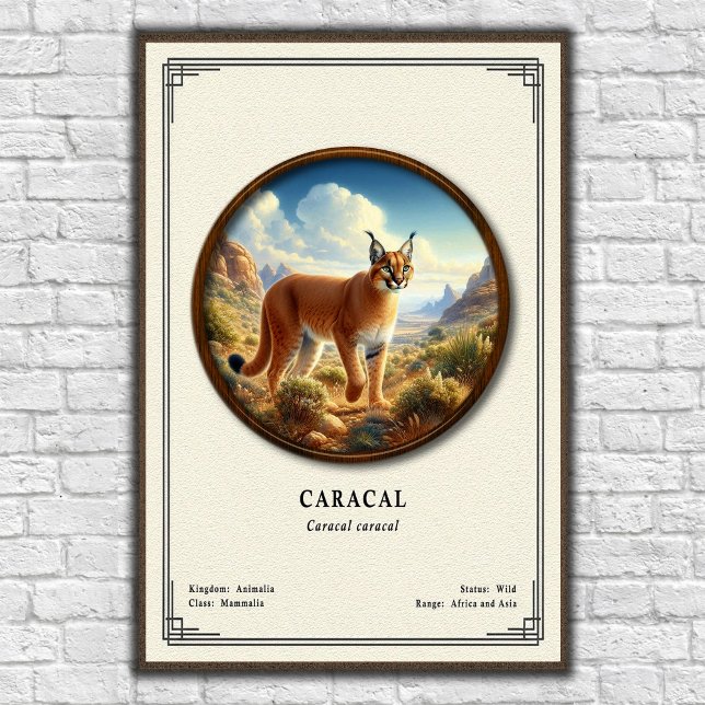 Caracal Zoology Series Poster (Creator Uploaded)