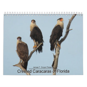 Caracaras of Florida Calendar