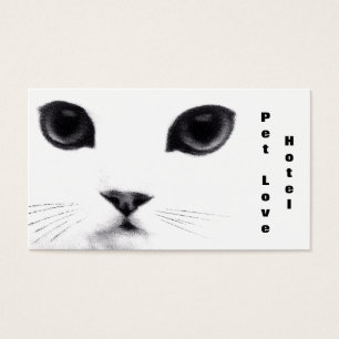 Caractéristiques classiques de chat