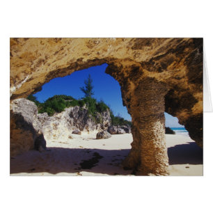 Caraïbes, Bermudes, Tucker's Town.Naturel