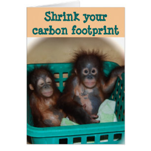 Carbon Footprint Advice