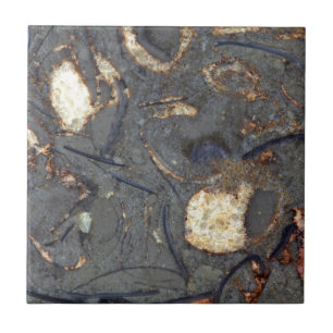 Carbonate rock with fossils tile