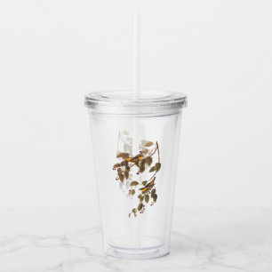 Carbonated Warbler Audubon Bird Acrylic Tumbler
