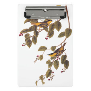 Carbonated Warbler Audubon Bird Mini Clipboard