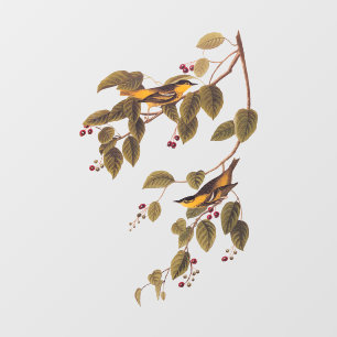 Carbonated Warbler Audubon Bird Window Cling