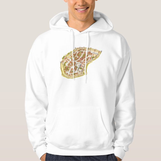 Carcassonne France. Aerial view Hoodie (Front)