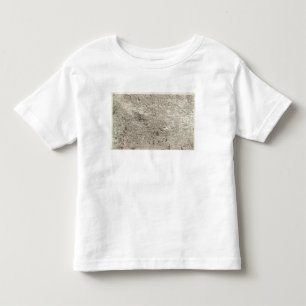 Carcassonne Toddler T-shirt