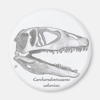 Carcharodontosaurus saharicus skull magnet