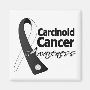 Carcinoid Cancer Awareness Ribbon Magnet