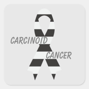 Carcinoid Cancer Zebra Awareness Ribbon by Janz Square Sticker