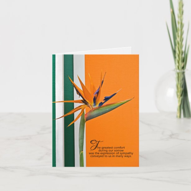 Sincere Condolences Cards, Greeting Cards & More | Zazzle CA