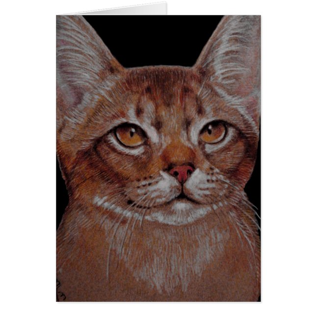 Card - Abby Cat (Front)