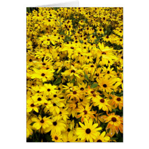 card - Black-eyed Susans
