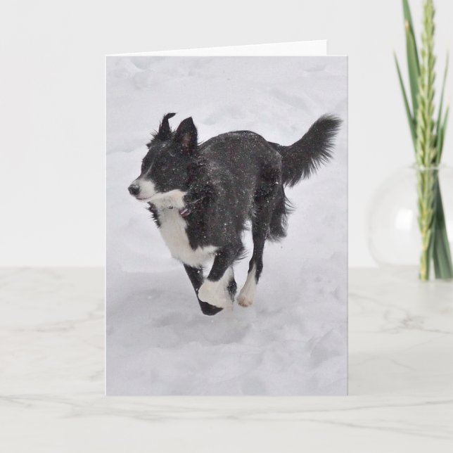 Card - Border Collie Running through the Snow (Front)