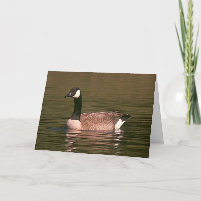 Card - Canadian Goose (Front)