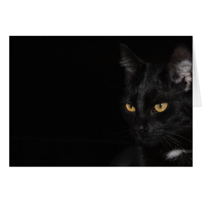 Card - Cat - Purr (Front Horizontal)