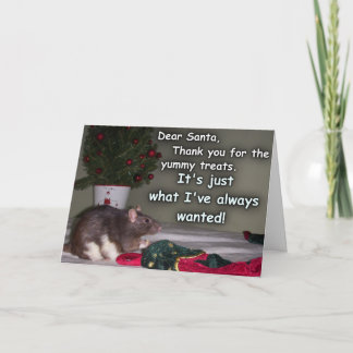 Card: Christmas Rat Dream Come True! Holiday Card