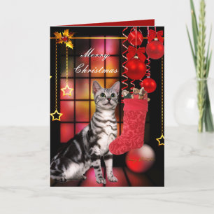 Card Christmas Xmas Cat