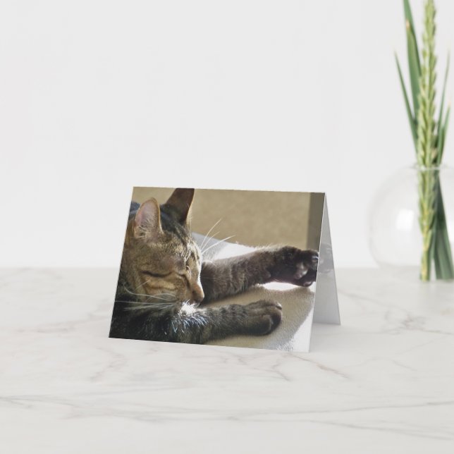 Card (CN)- Cat Nap or Two (Front)