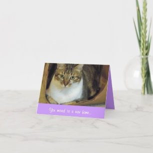 Card (CN) - Perfect Fit