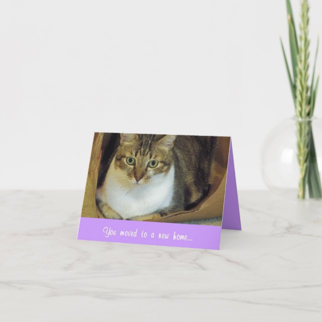 Card (CN) - Perfect Fit (Front)