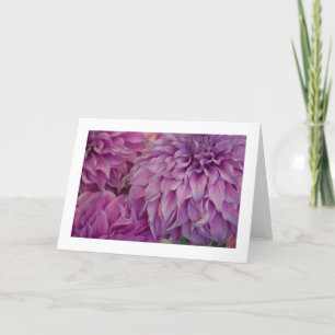 Card, "Dahlia # 151" Card