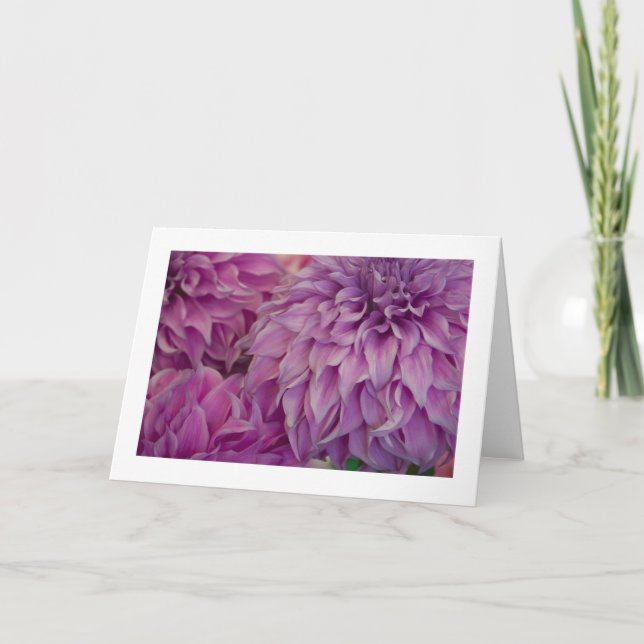 Card, "Dahlia # 151" Card (Front)