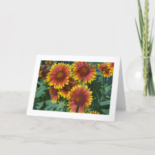 Card, "Daisies # 227" Card