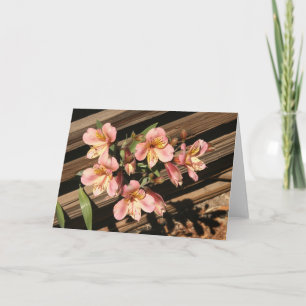 Card, FREESIAS AND FENCE Card
