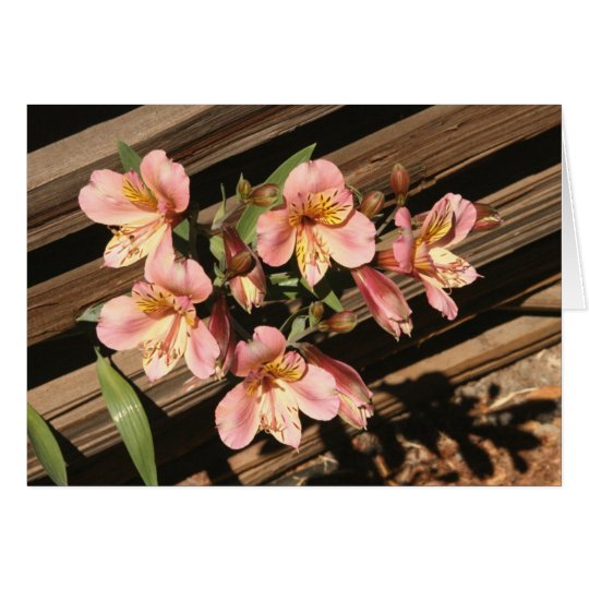 Card, FREESIAS AND FENCE Card