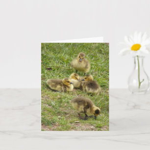 card - Goslings