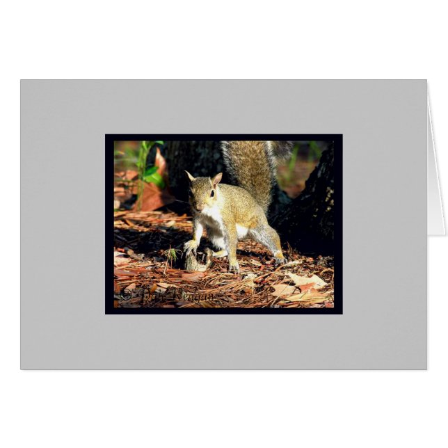 Card - Got Nuts? (Front Horizontal)