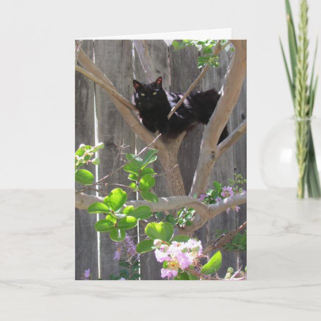 Card, Greeting - Cat in Branches Card (Front)