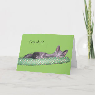 Card - Greeting - Grey kitten