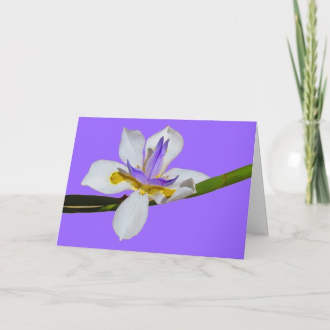 Card - Greeting - Iris (Front)