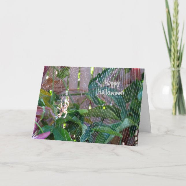 Card - Greeting - Spider on web (Front)